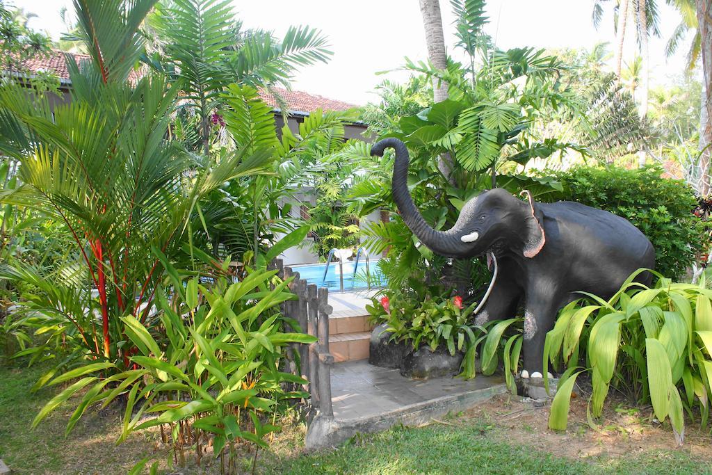 Pahalage Guesthouse Beruwala Eksteriør billede