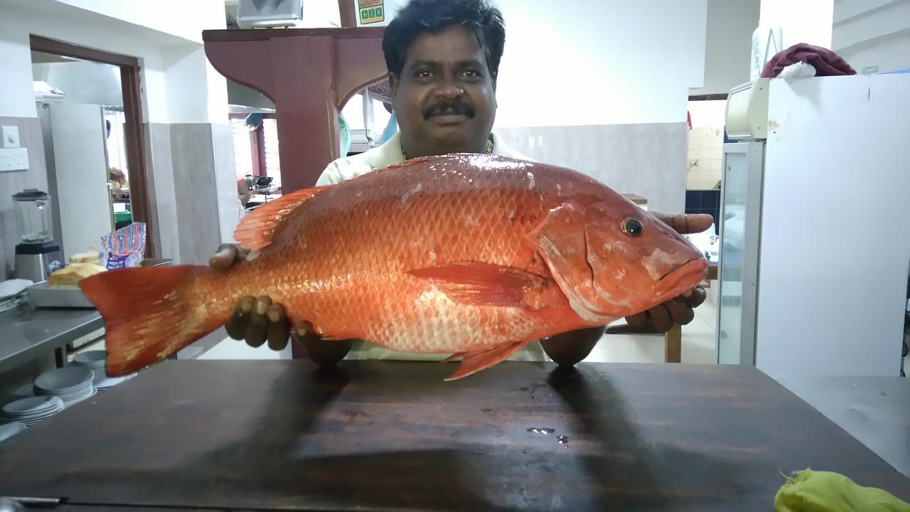 Pahalage Guesthouse Beruwala Eksteriør billede